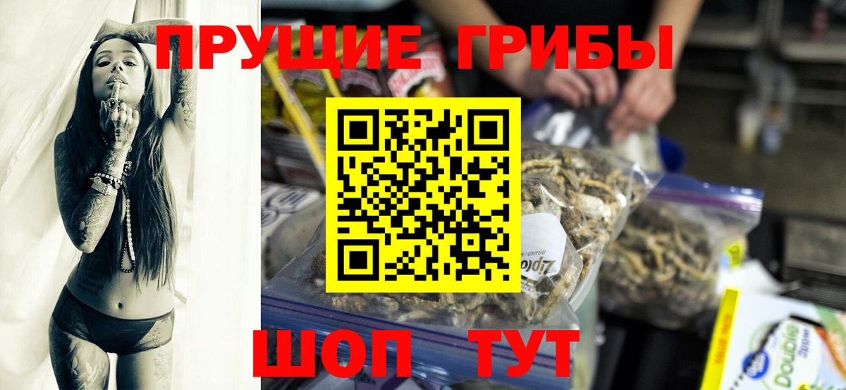Галлюциногенные грибы Cubensis  Вход с VPN  купить наркоту  Кудымкар 